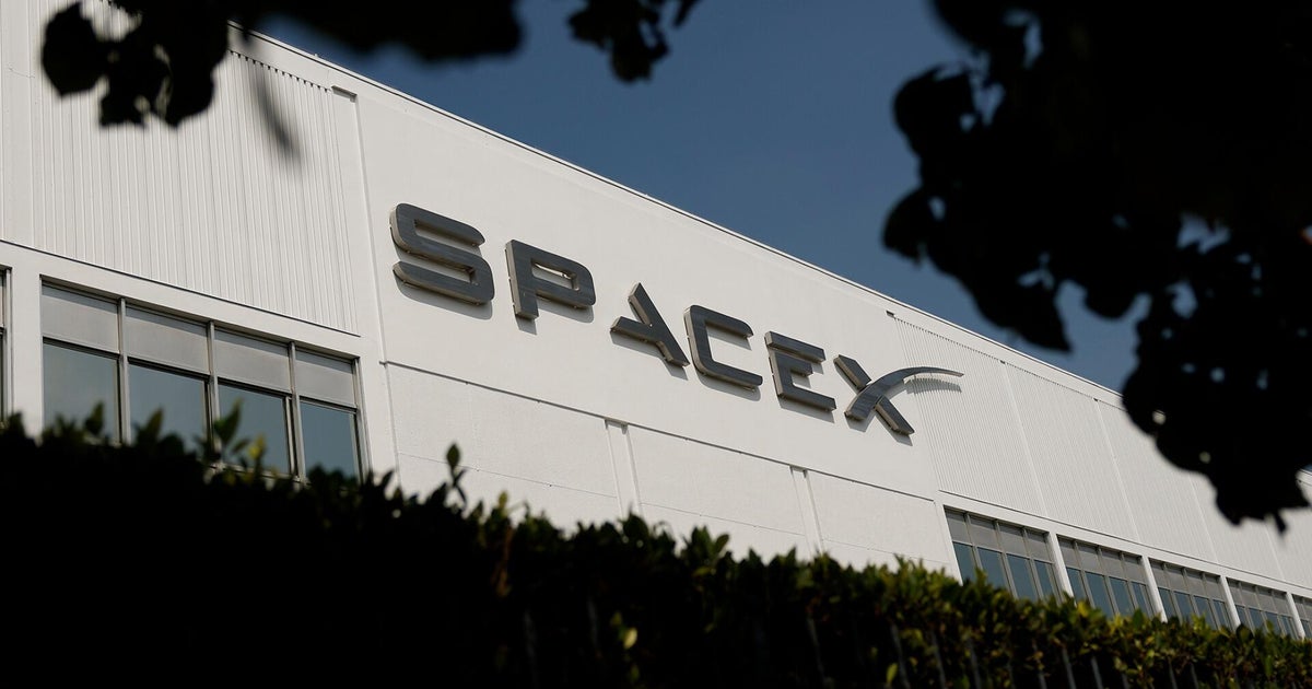 Elon Musk's SpaceX to testify at NYC Council meeting on AI safety