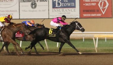 Most Wanted Enters Stud in New York for Joint Venture