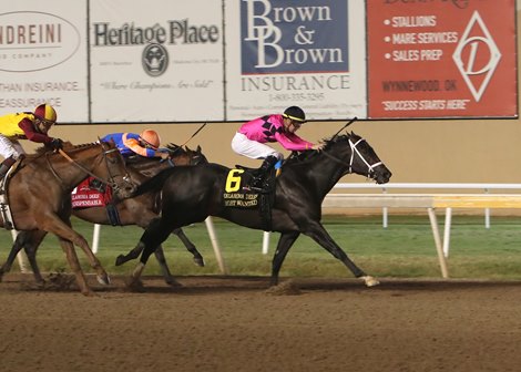 Most Wanted Enters Stud in New York for Joint Venture