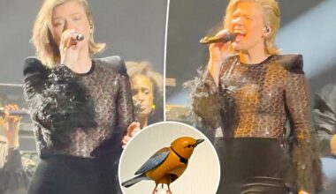 Kelly Clarkson returns to stage as drama with Brooklyn store over toy bird rages on