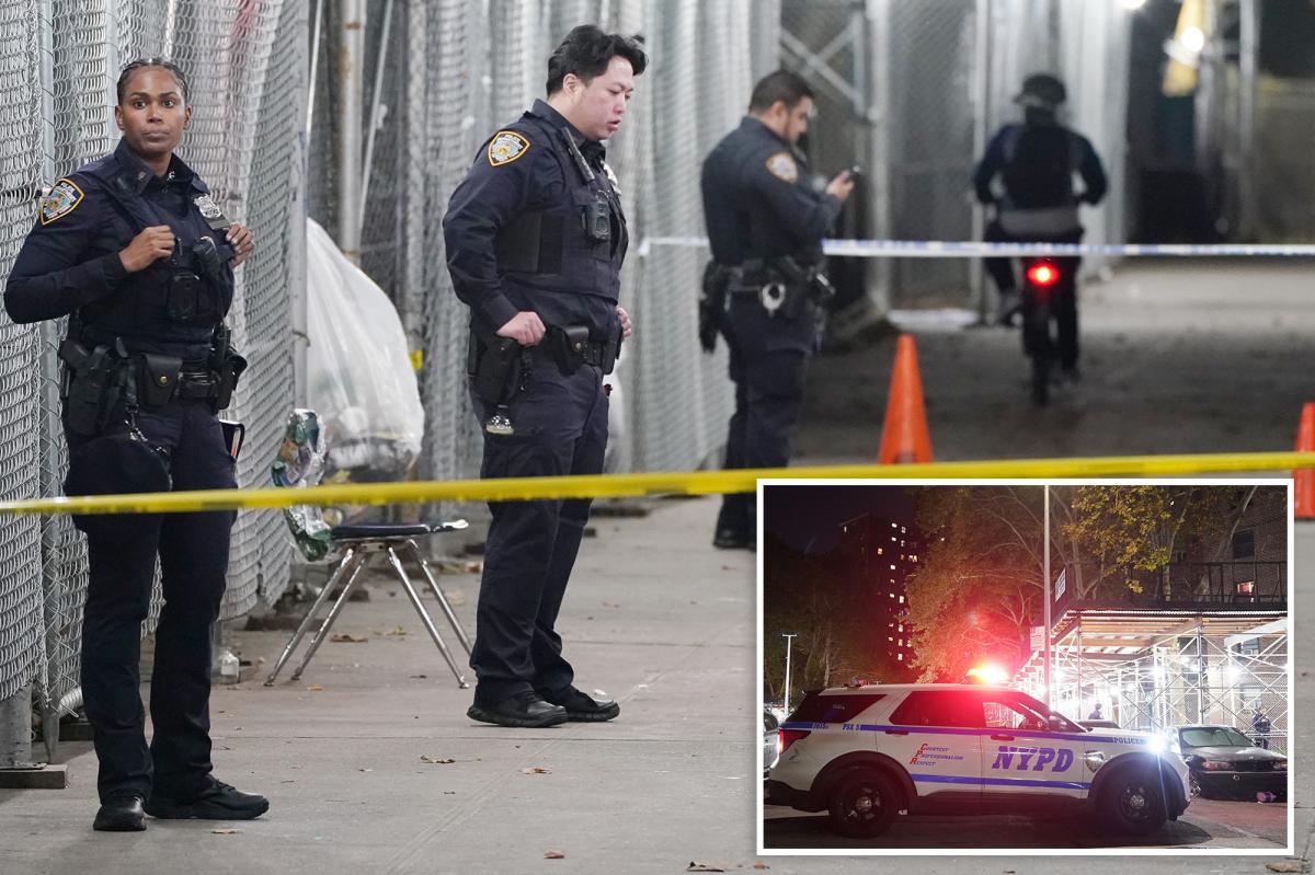 Boy, 15, fatally shot, NYCHA worker wounded by stray bullet outside NYC housing complex: cops, sources