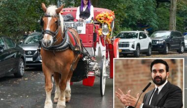 'Betrayed' horse-drawn carriage drivers fear homelessness as NYC moves to ban industry