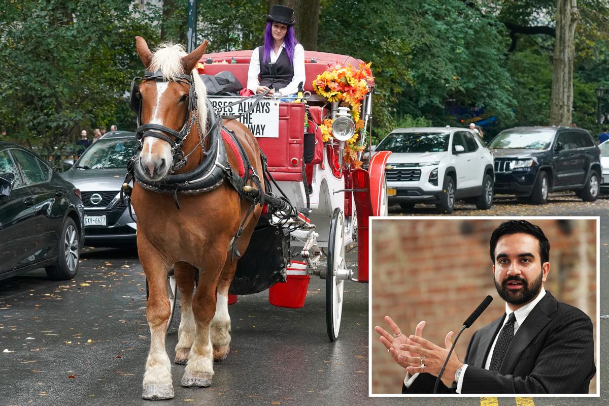 'Betrayed' horse-drawn carriage drivers fear homelessness as NYC moves to ban industry