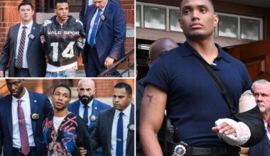 NYPD cop stabbed 10 times by illegal immigrants chased thugs despite his injuries: prosecutors