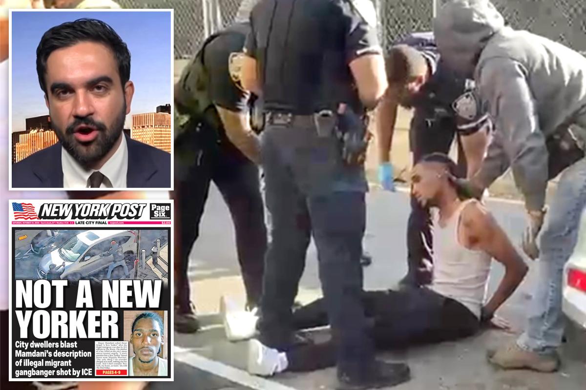 Mamdani threatens to probe ICE after NYC 'illegal migrant' shooting
