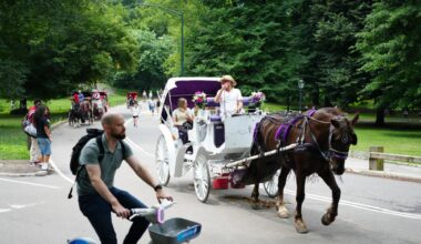 Mamdani and Menin's deal to kill Central Park carriage trade is about privileged prejudice
