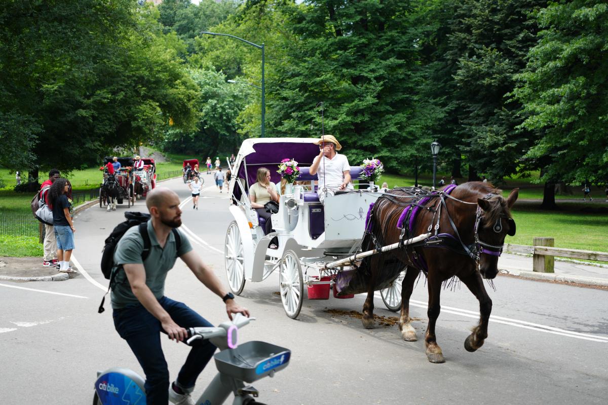 Mamdani and Menin's deal to kill Central Park carriage trade is about privileged prejudice