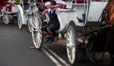 NYC's horse-carriage ban sets a scary socialist precedent