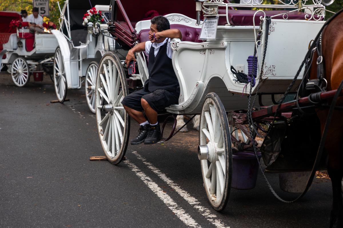 NYC's horse-carriage ban sets a scary socialist precedent