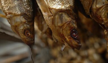 News 12 | Bronx | Made In Brooklyn Acme Smoked Fish