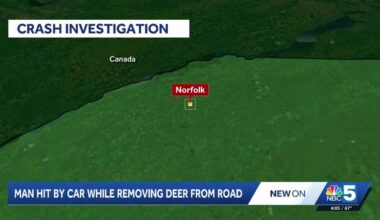 Northern New York man hit by car while removing deer from road