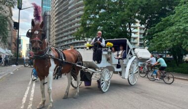 New York City Council set to pass bill banning horse carriages next week, officials say
