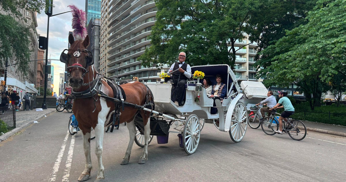 New York City Council set to pass bill banning horse carriages next week, officials say