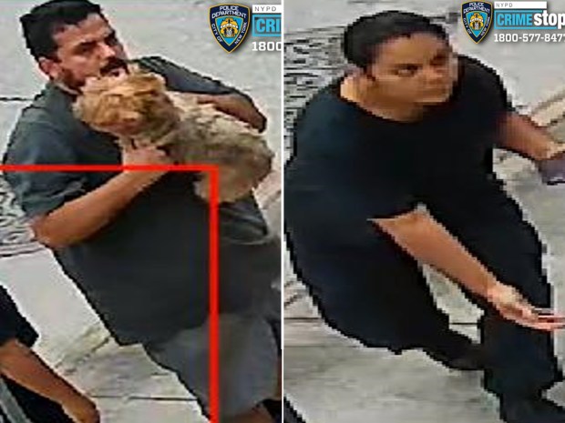 Police released surveillance video images of a man and a woman who they said stole a 10-year-old Yorkshire terrier from a home in College Point, Queens on Sept. 17, 2026. (NYPD)