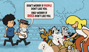 My Upper West Side Dog Park Advice