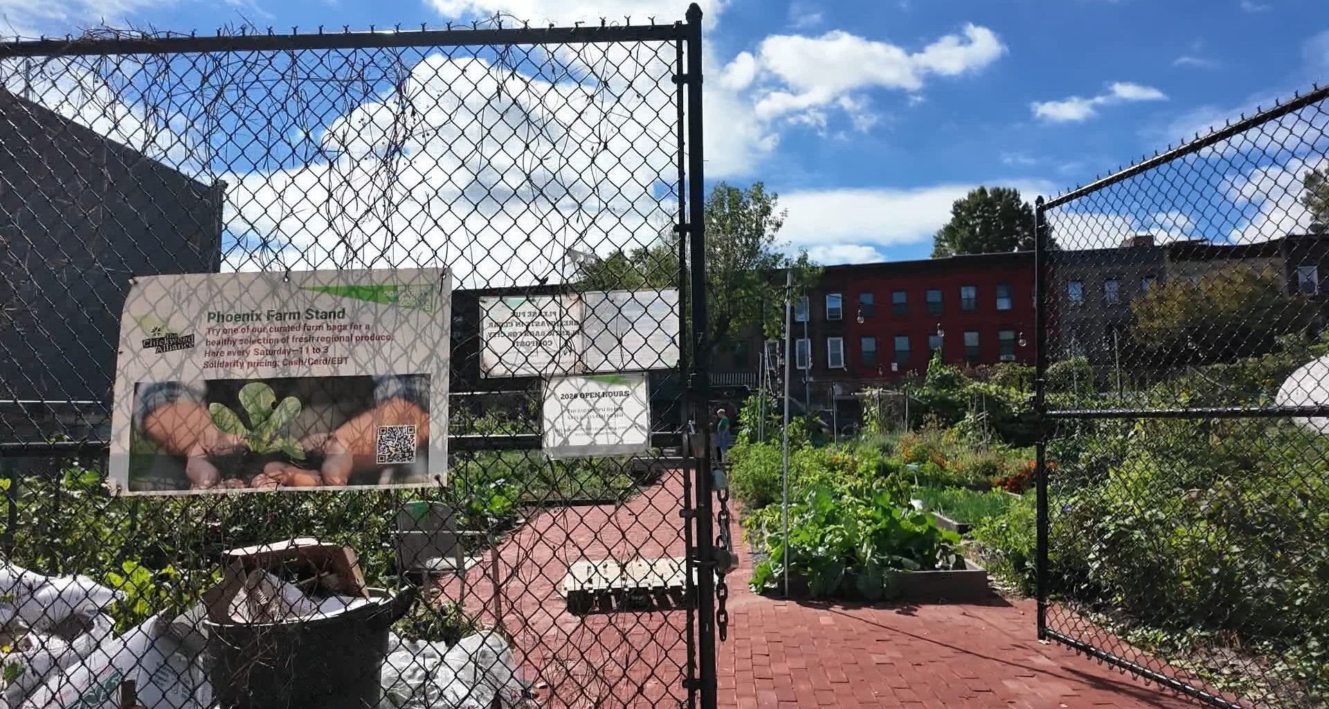 News 12 | Brooklyn | Rebuilding Brooklyn Ocean Hill Community Garden Gets Revamp
