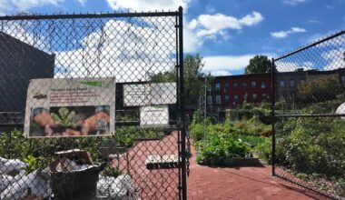 News 12 | Brooklyn | Rebuilding Brooklyn Ocean Hill Community Garden Gets Revamp