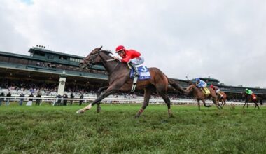 Tam Tam Cruises on Lead to Take Queen Elizabeth II