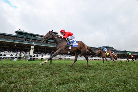 Tam Tam Cruises on Lead to Take Queen Elizabeth II