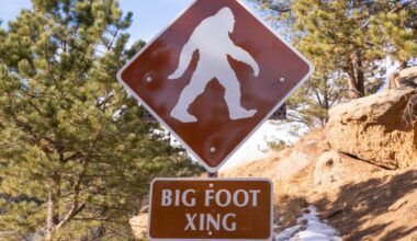 A Bigfoot Hunter Claims to Have Bigfoot’s Corpse—and the DNA to Prove It