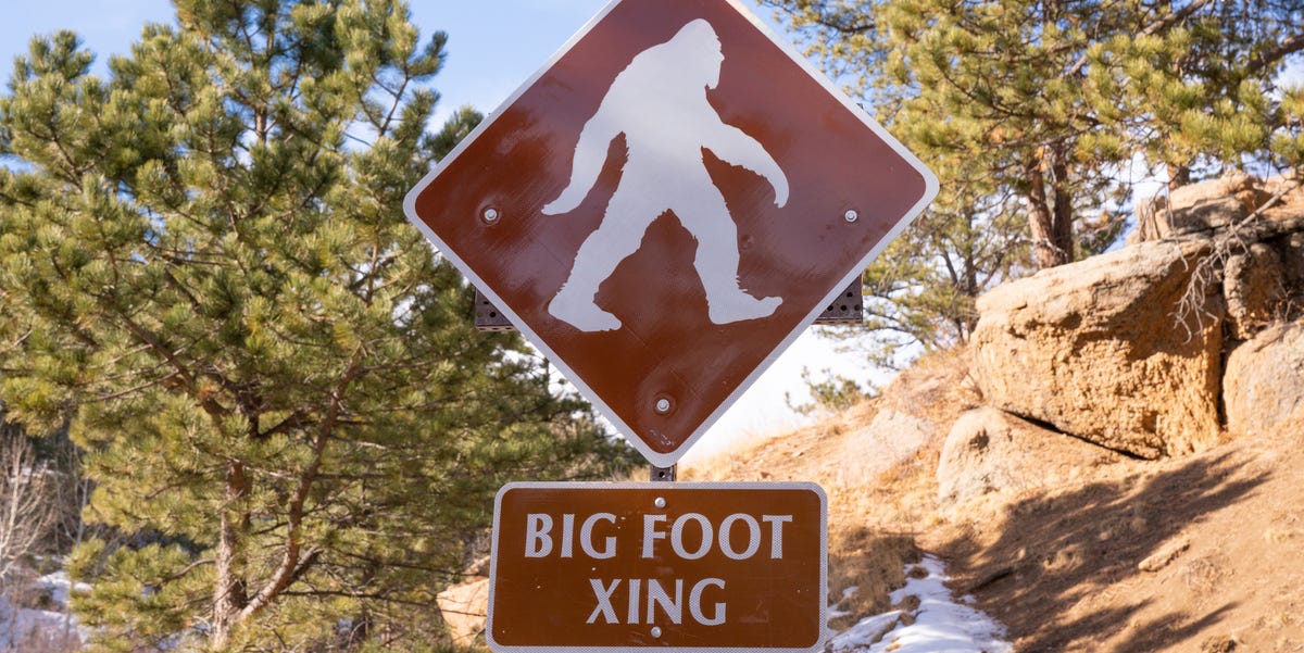 A Bigfoot Hunter Claims to Have Bigfoot’s Corpse—and the DNA to Prove It