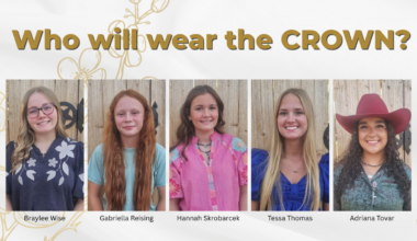 Local teens to compete for fair queen crown
