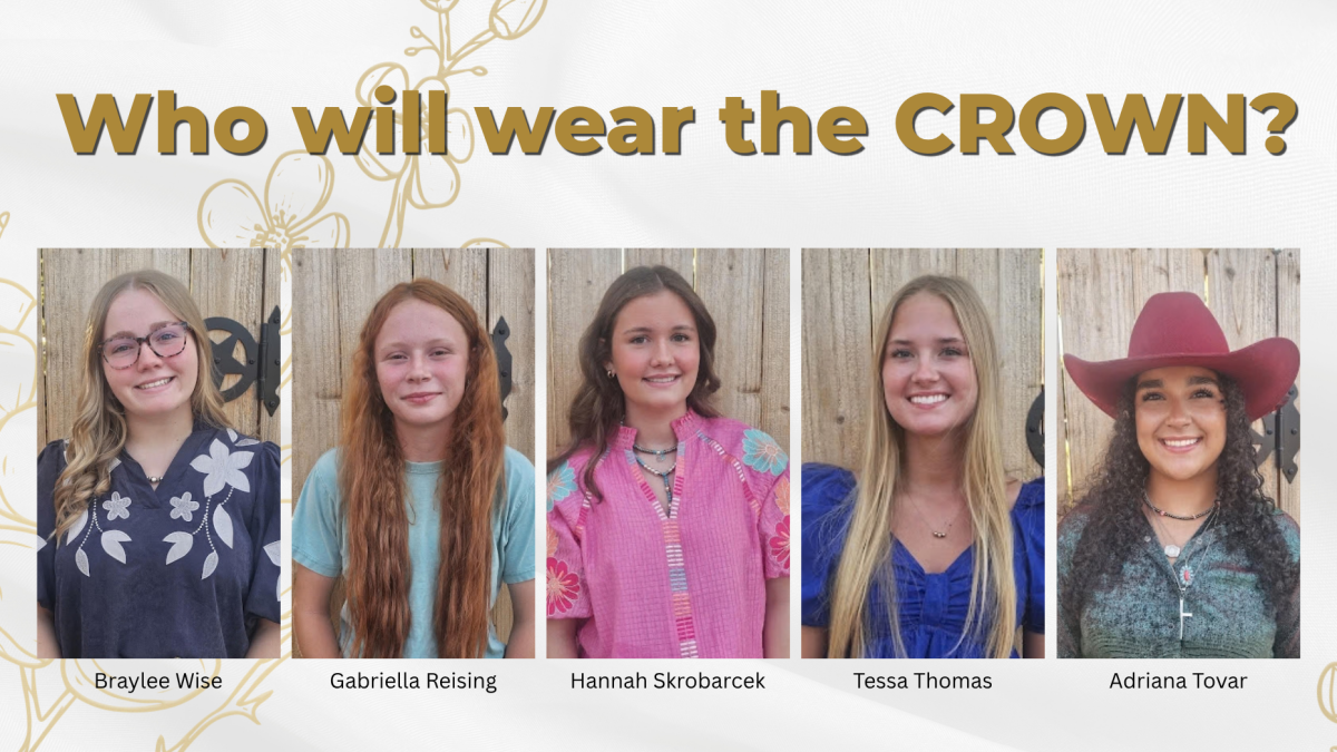 Local teens to compete for fair queen crown