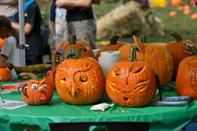 Free fall festivals and Halloween events for all ages in NYC