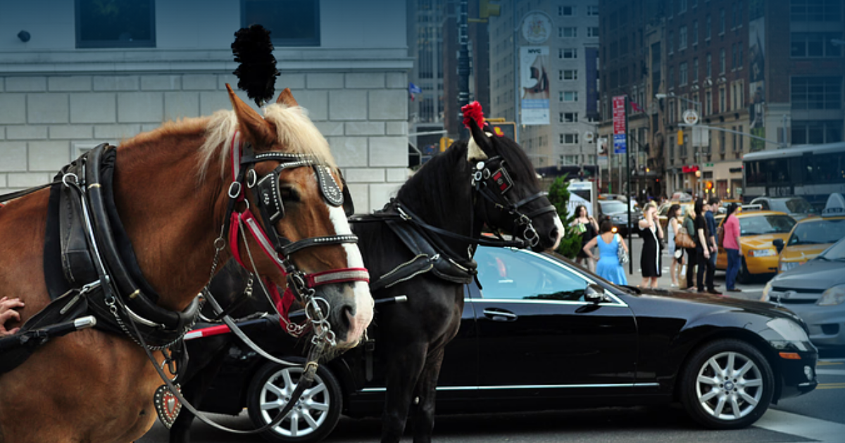 A Historic Win: New York City Passes Law to End Horse-Drawn Carriages