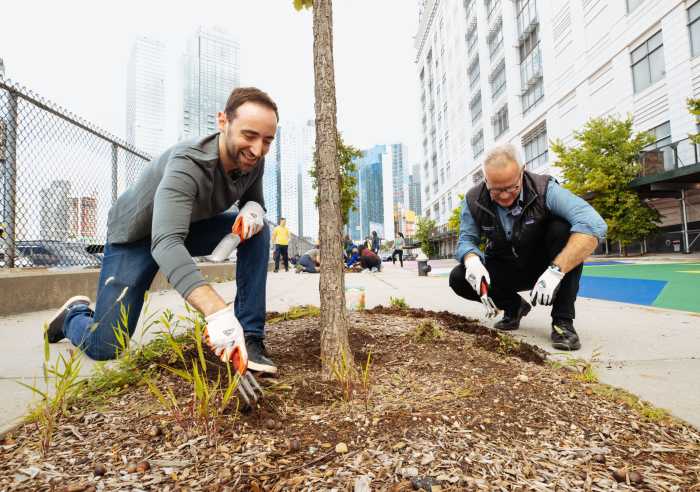 people planting trees