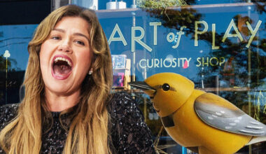 The Kelly Clarkson Bird Drama Heightens As Art of Play Store & Friends Get Threats