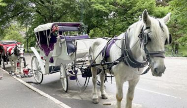 NYC horse carriage ban: Mamdani, council reach deal to end rides