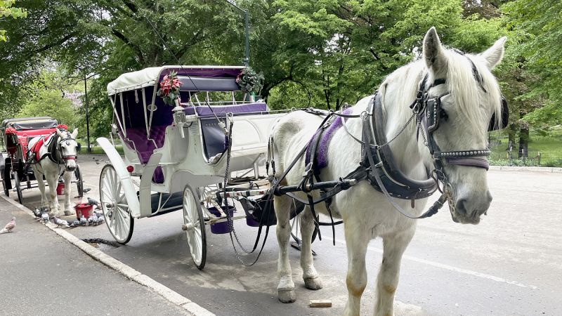 NYC horse carriage ban: Mamdani, council reach deal to end rides