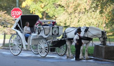 Horse carriage advocates, opponents speak out as NYC ban looms