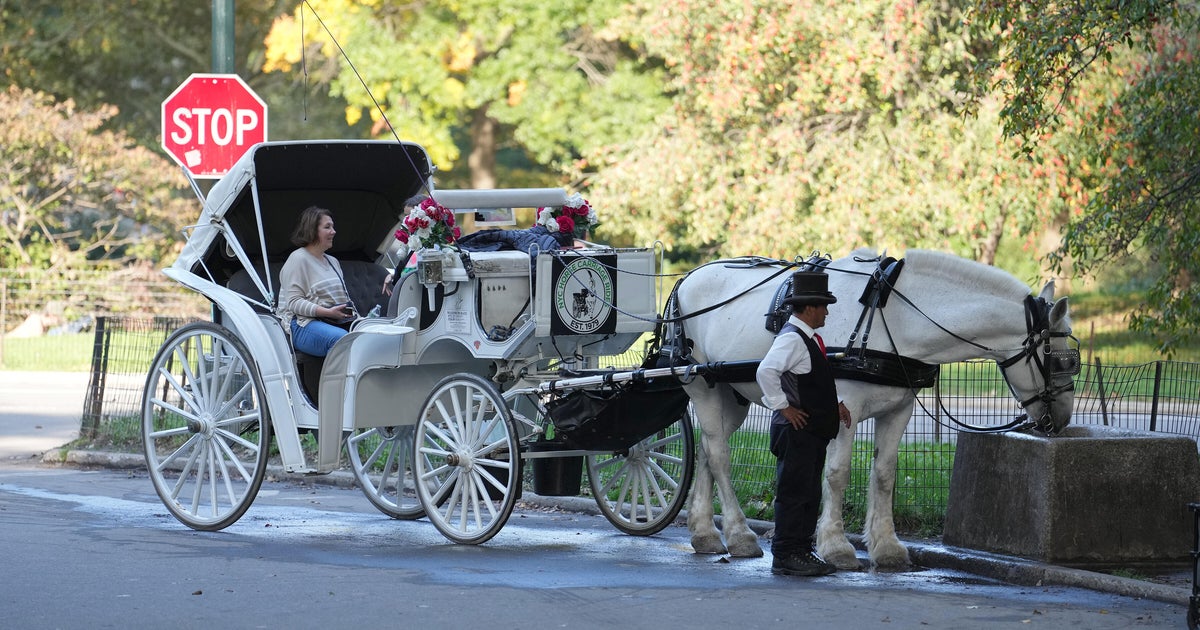 Horse carriage advocates, opponents speak out as NYC ban looms