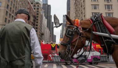 Facing a ban, Manhattan's horse carriage drivers worry over their future - WSB-TV Channel 2