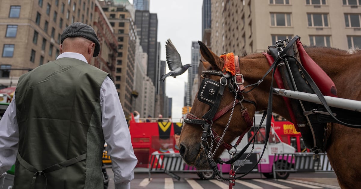 Facing a ban, Manhattan's horse carriage drivers worry over their future - WSB-TV Channel 2