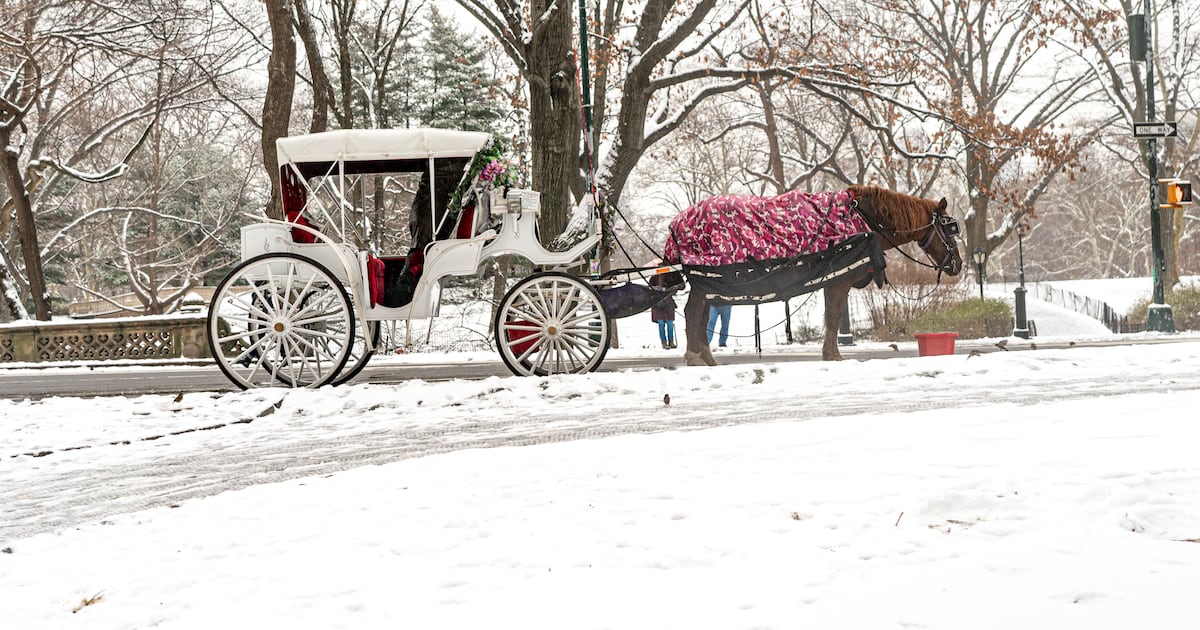 NYC poised to wind down iconic Central Park horse-drawn carriage industry after teen's death