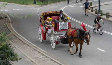 Horse carriages in New York City expected to be outlawed
