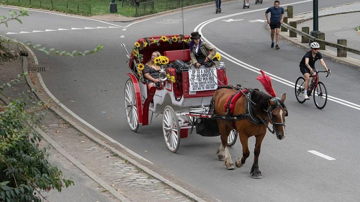 Horse carriages in New York City expected to be outlawed