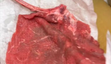 This Massively Stuffed Veal Chop in Queens is an Absolute Game-Changer