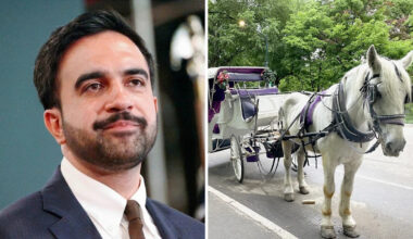 NYC Mayor Zohran Mamdani Moves to End Central Park Horse Carriage Rides After 168 Years