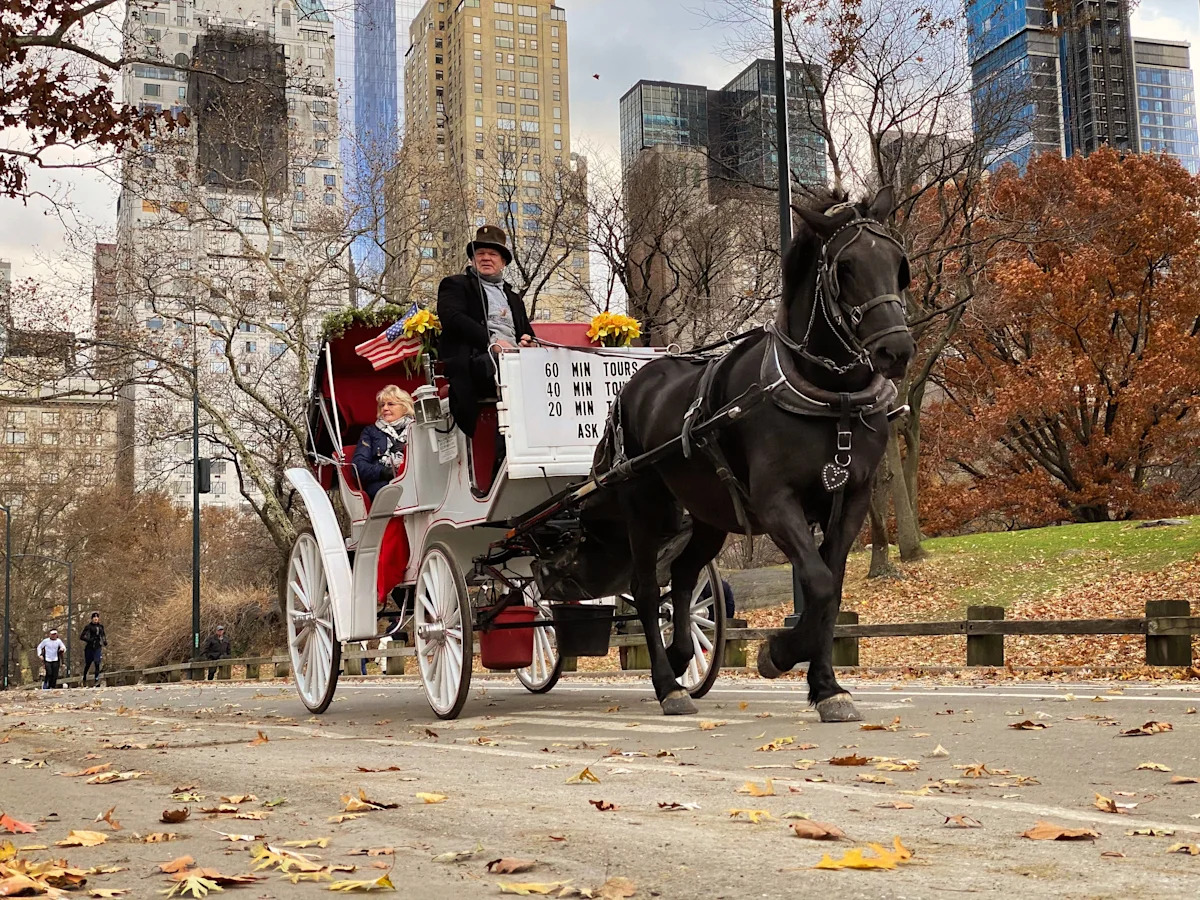 New York City Votes to Ban Central Park's Iconic Horse-Drawn Carriages After 168 Years