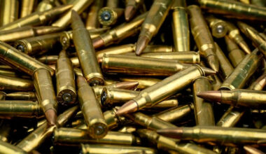 NYPD Seizes Rifle, 800+ Bullets in Staten Island Apartment Raid