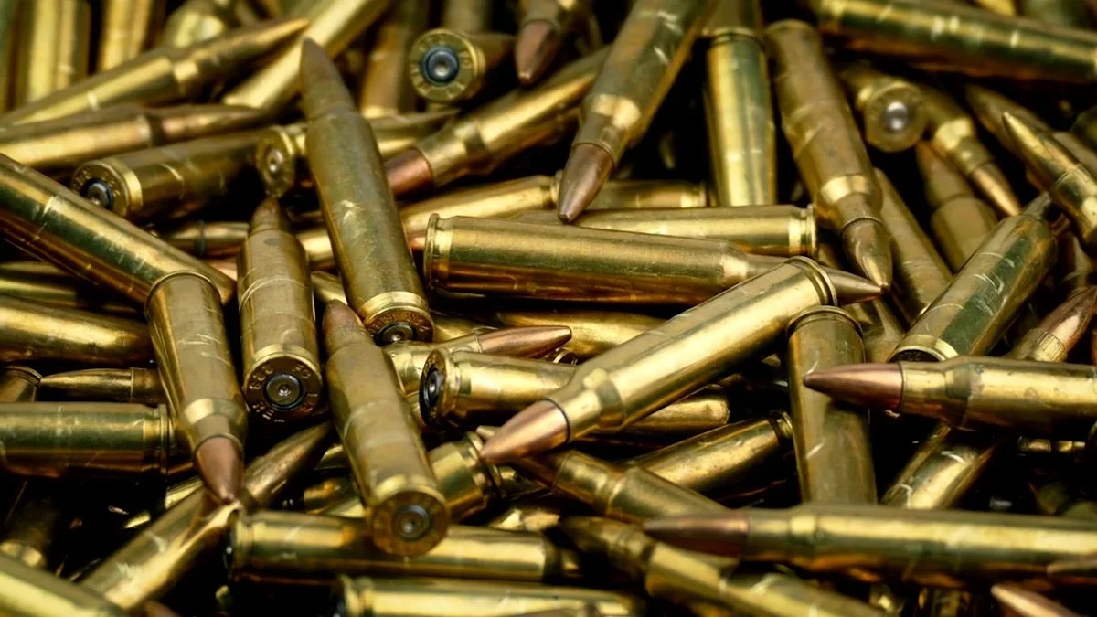 NYPD Seizes Rifle, 800+ Bullets in Staten Island Apartment Raid