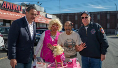 Dolly Parton Theme Steals the Show at Halloween Dog Costume Contest on Staten Island (90 Photos)