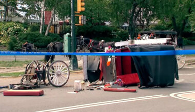 New York City to ban horse-drawn carriages in 2028, City Council speaker says