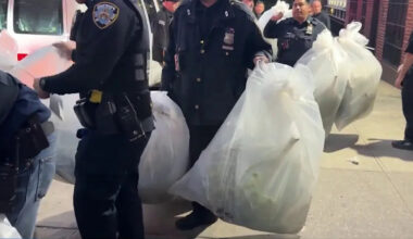 Bronx marijuana grow house discovered during eviction, dozens of plants seized, authorities say