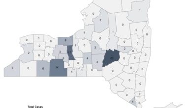 New York: Governor Hochul declares a State Disaster Emergency due to rise in measles