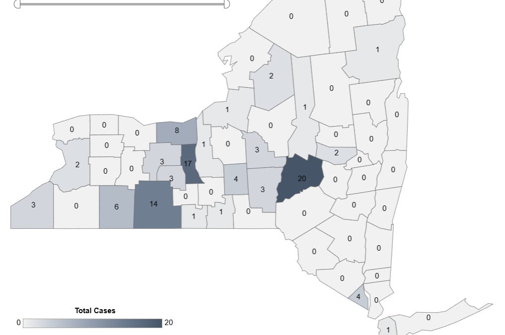 New York: Governor Hochul declares a State Disaster Emergency due to rise in measles